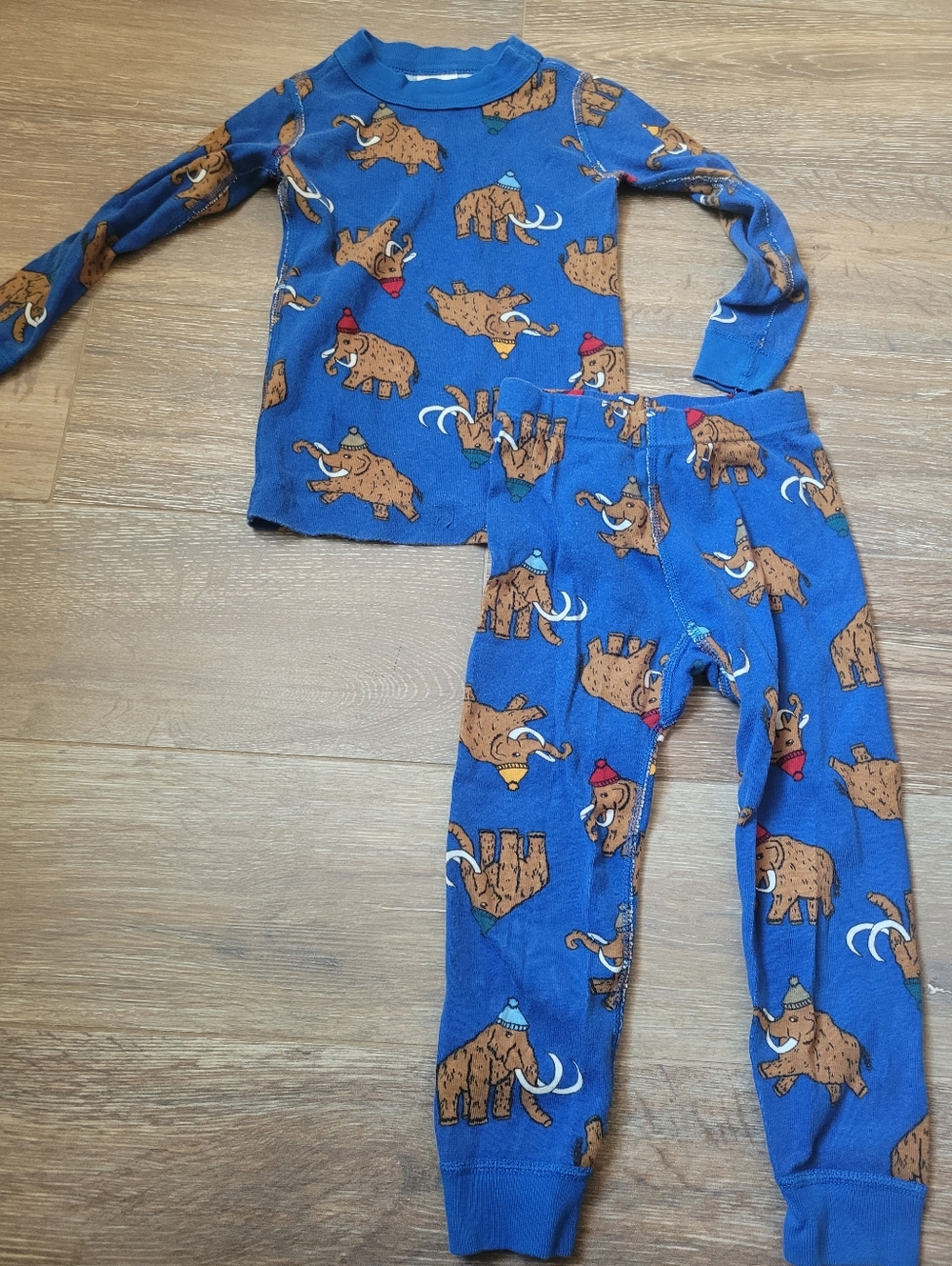 Hanna Andersson Winter Pajamas, Size 3
